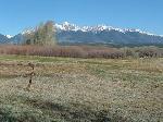 arkansas river front property