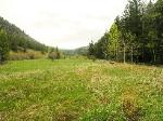 Colorado hunting property.