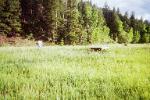 Poncha Springs fishing property for sale.