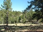 property for sale buena vista co