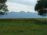 Colorado horse property for sale.