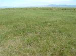 Horse Property Colorado