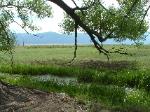 Salida Property for Sale