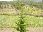Colorado fishing retreat for sale.